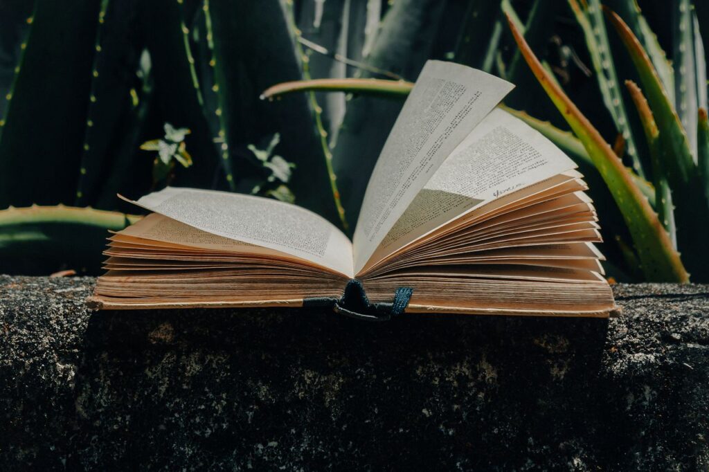 pexels-photo-15869046 Close-up of an open book on a concrete surface with cactus plants in the background under natural light.
