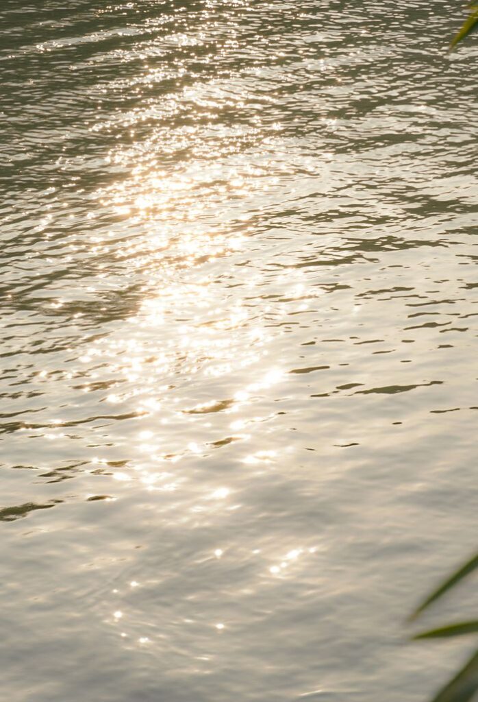 pexels-photo-19846925 Glistening sunlight creates a reflective pattern on rippling water, evoking tranquility.